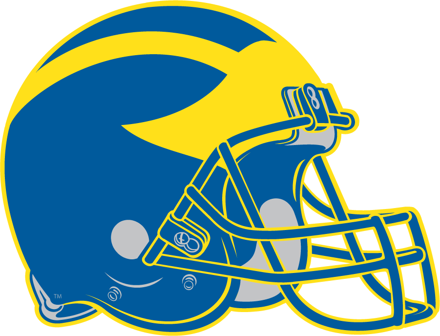 Delaware Blue Hens 1999-2008 Helmet Logo iron on transfers for clothing